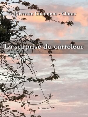 cover image of La surprise du carreleur